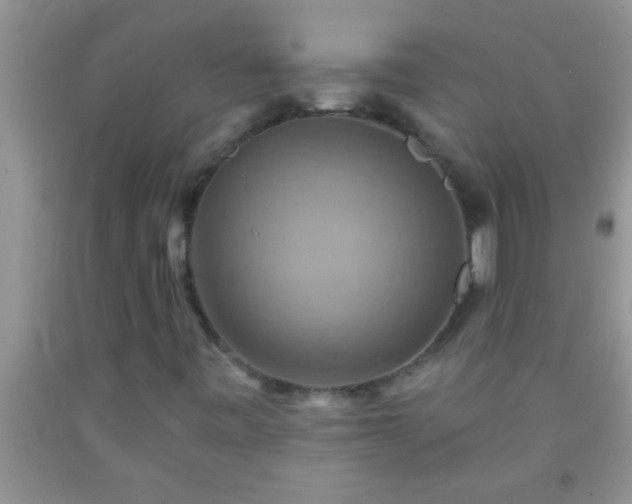 X0000092111443200709191318