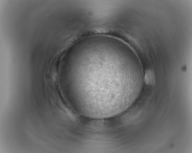 X0000092111444200709191318