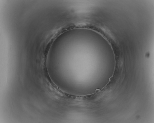 X0000092111445200709191318