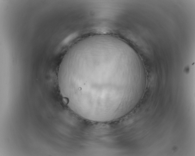 X0000092111446200709191318