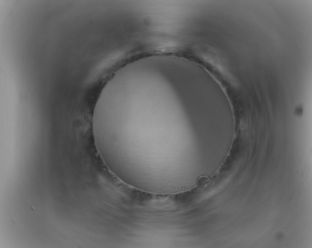 X0000092111447200709191318