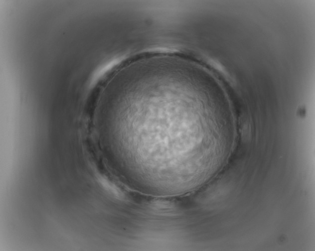 X0000092111448200709191318