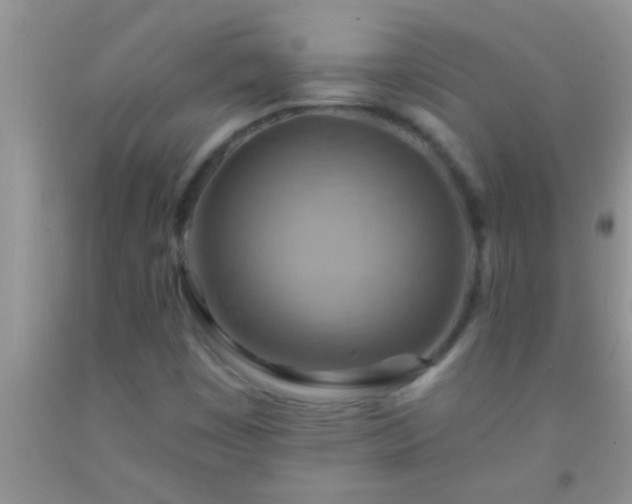 X0000092111449200709191318