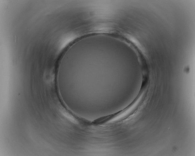 X0000092111450200709191318