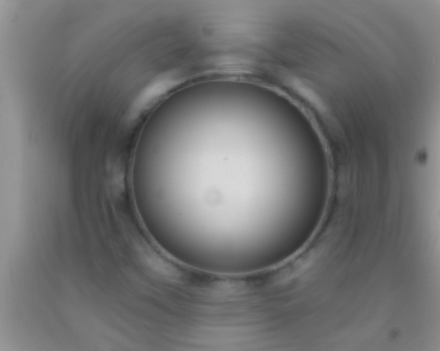 X0000092111451200709191318