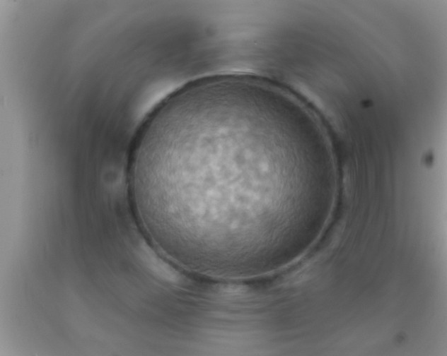 X0000092111452200709191318