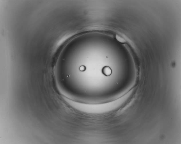 X0000092111453200709191318