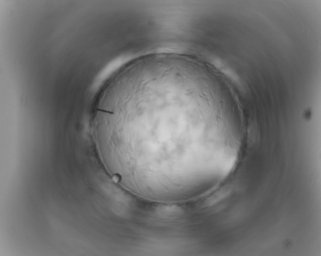 X0000092111454200709191318