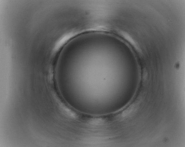 X0000092111455200709191318