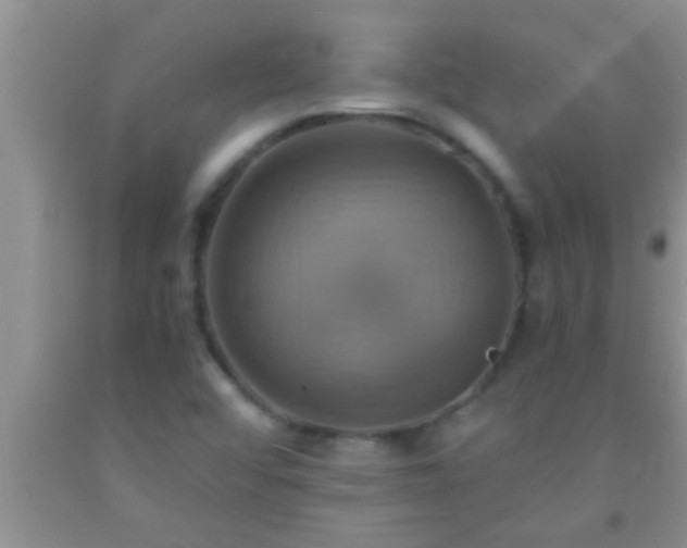 X0000092111456200709191318