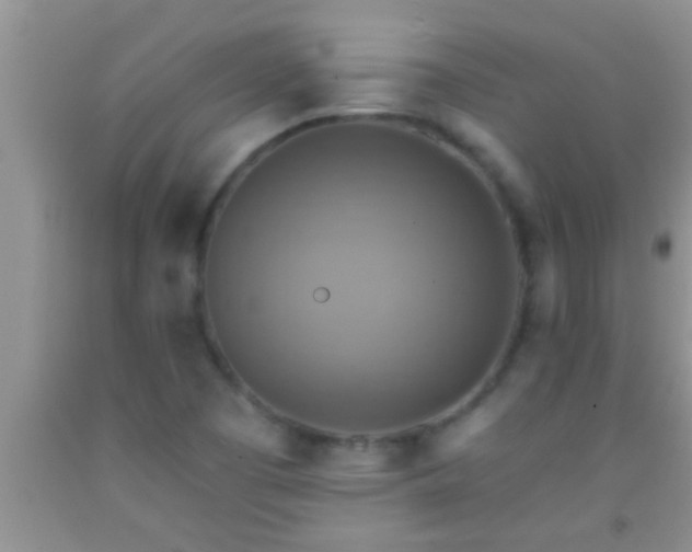 X0000092111457200709191318