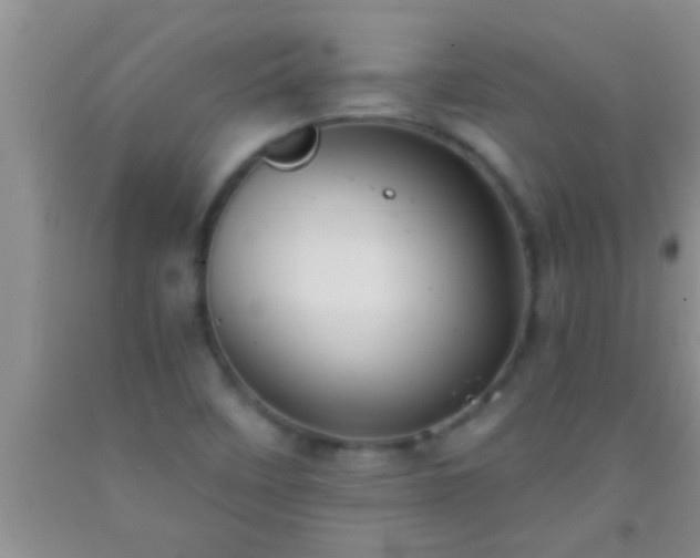 X0000092111458200709191318