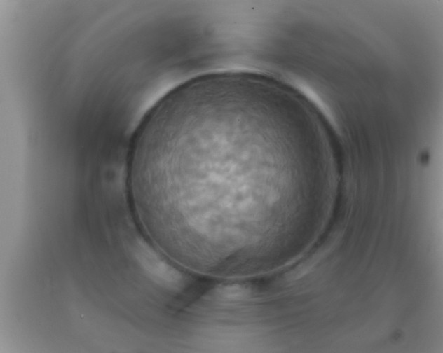 X0000092111460200709191318