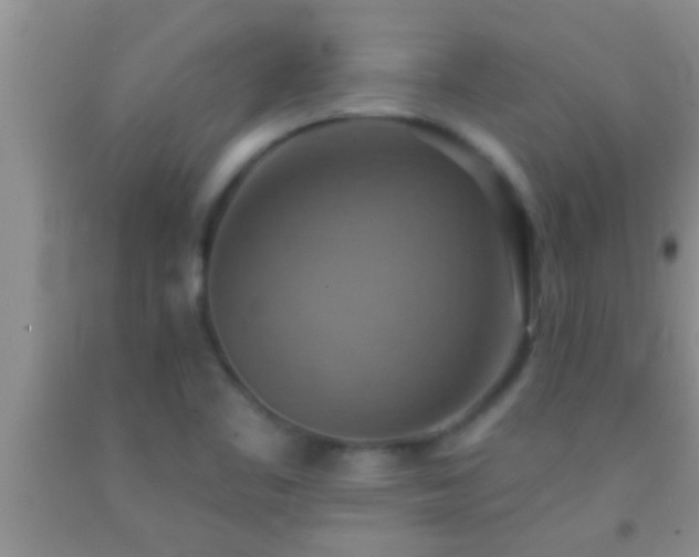 X0000092111461200709191318