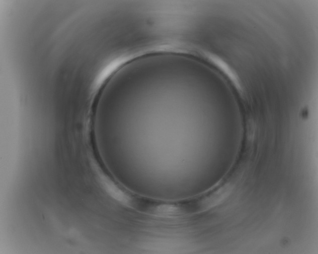 X0000092111463200709191318