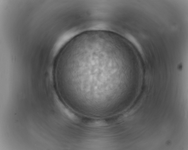 X0000092111464200709191318