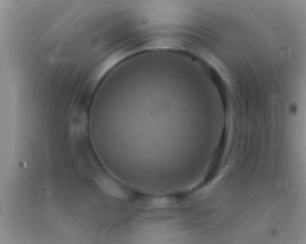 X0000092111465200709191318