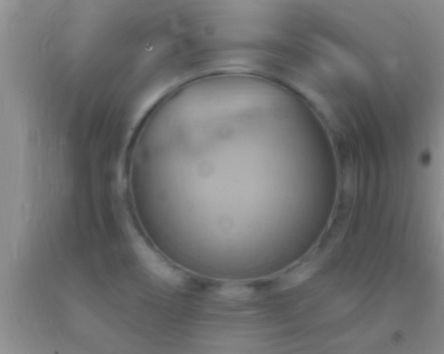 X0000092111466200709191318