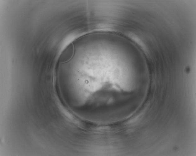 X0000092111467200709191318