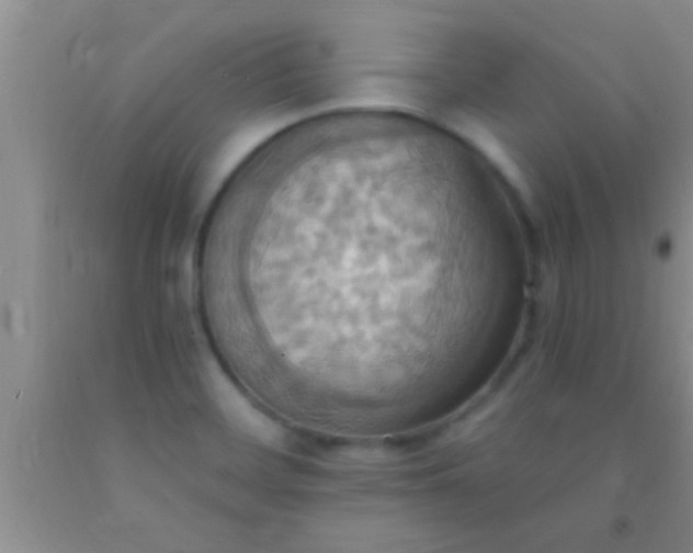 X0000092111468200709191318