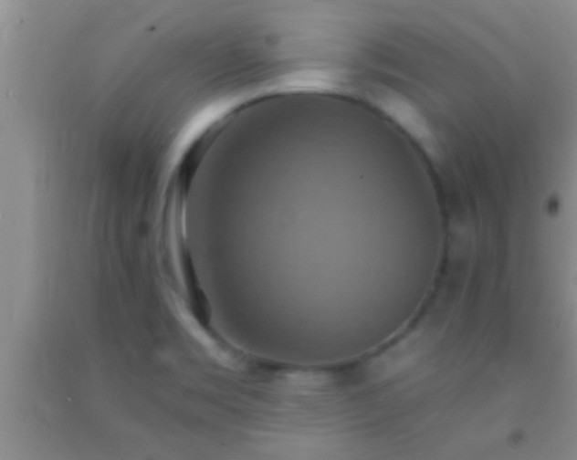 X0000092111469200709191318