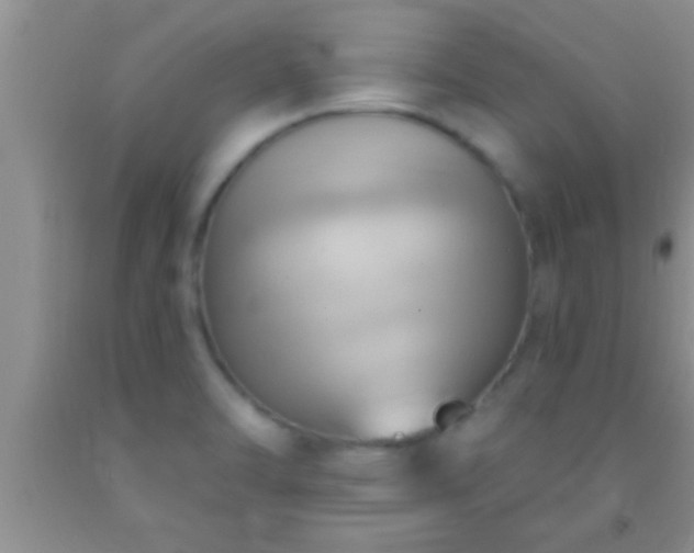 X0000092111470200709191318