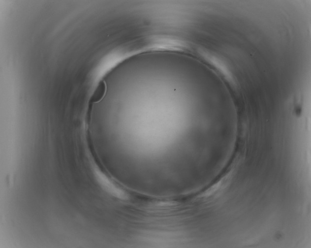 X0000092111471200709191318