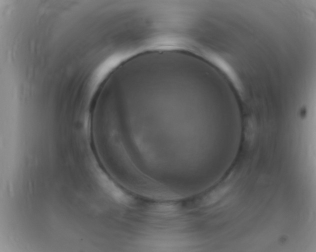 X0000092111472200709191318