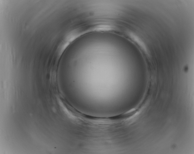 X0000092111473200709191318