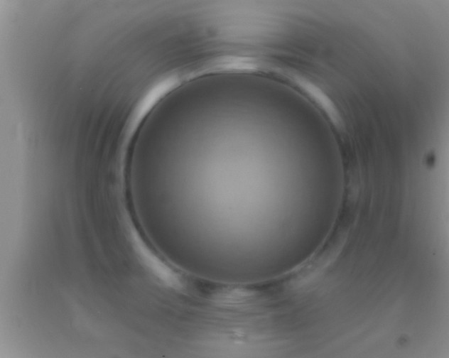 X0000092111475200709191318