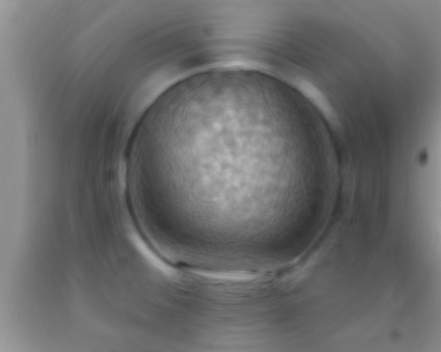 X0000092111476200709191318