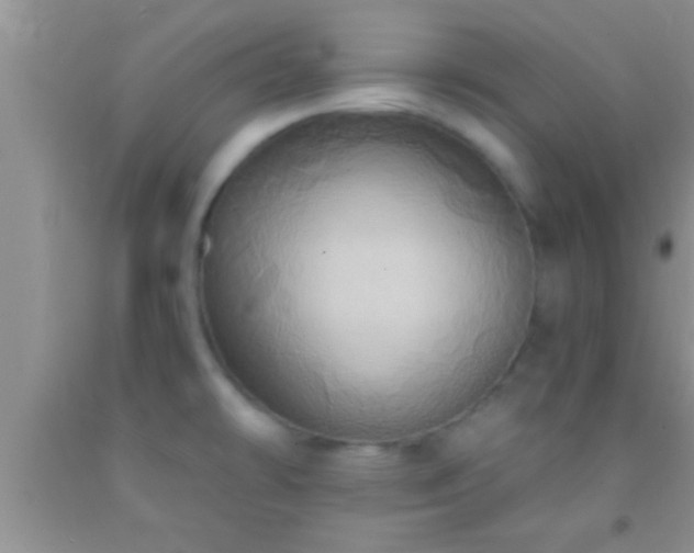 X0000092111478200709191318