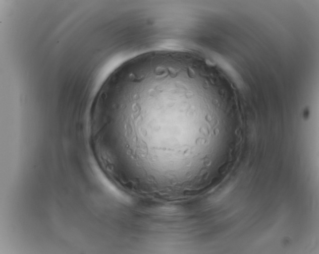 X0000092111479200709191318