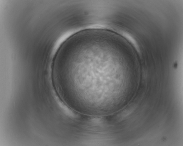 X0000092111480200709191318