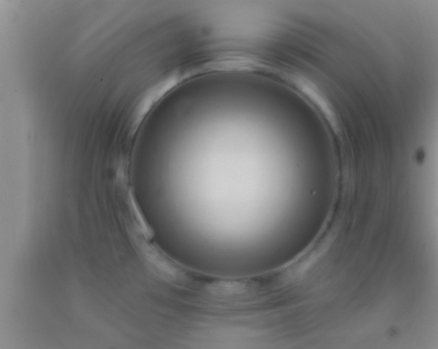 X0000092111481200709191318