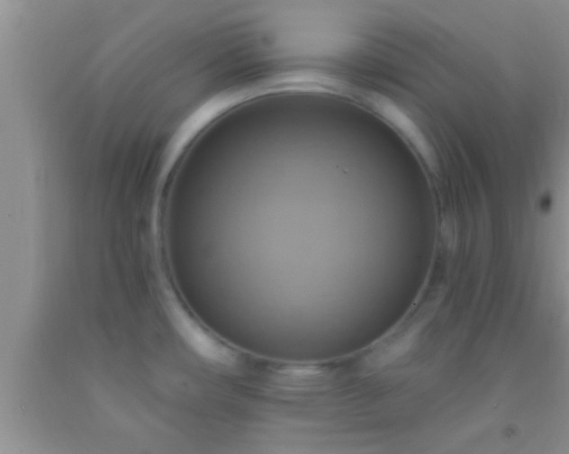 X0000092111482200709191318