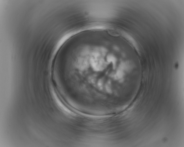 X0000092111483200709191318