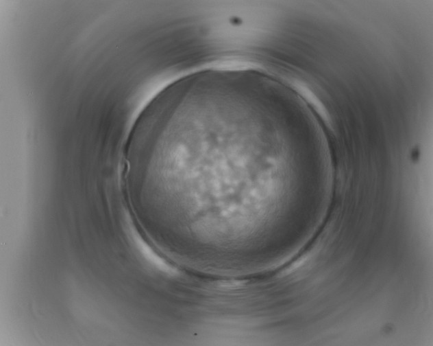 X0000092111484200709191318