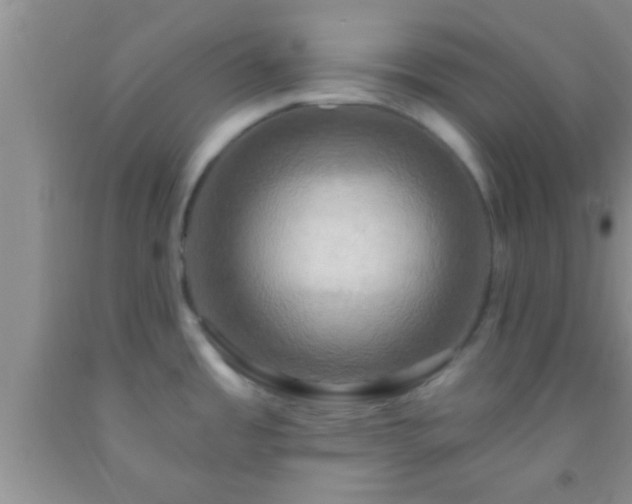 X0000092111485200709191318