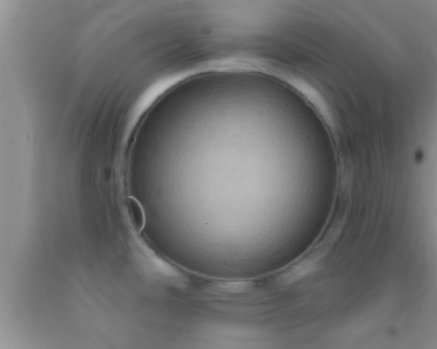 X0000092111486200709191318