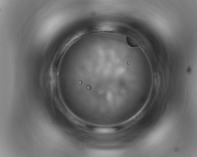 X0000092111487200709191318