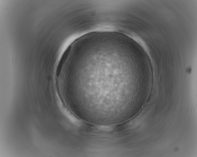 X0000092111488200709191318