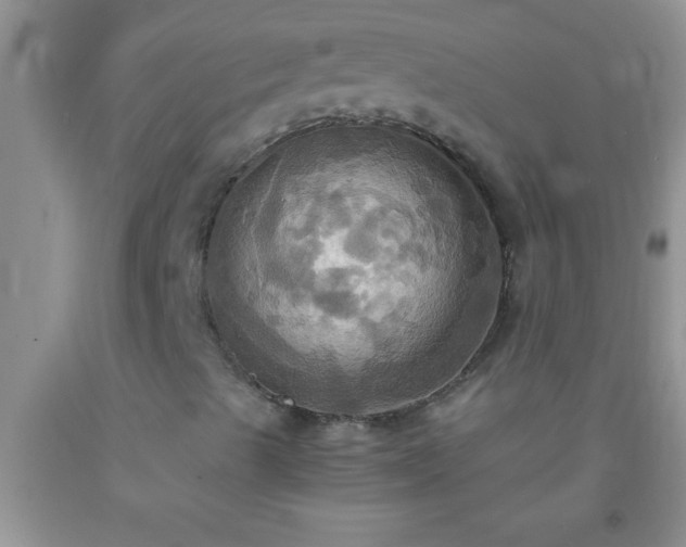 X0000092111489200709191317