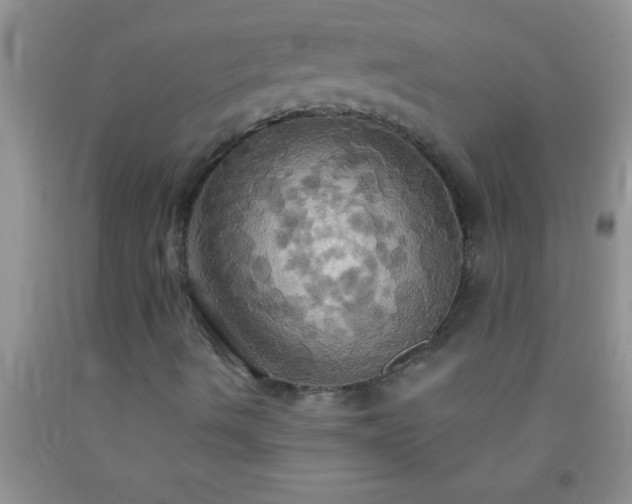 X0000092111490200709191317