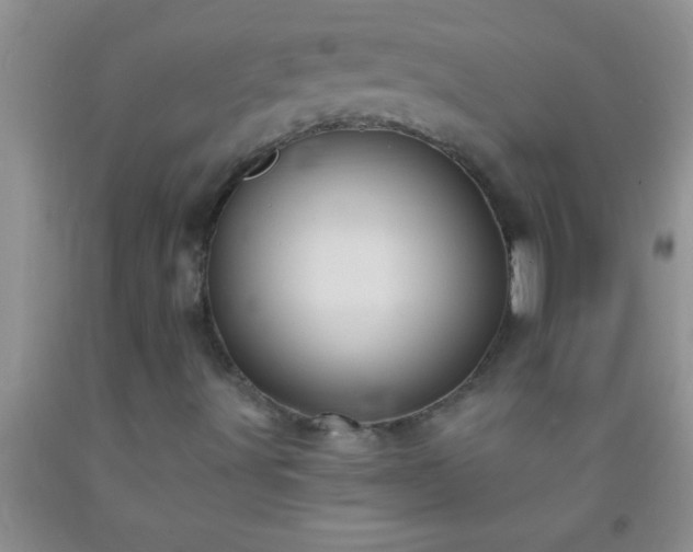 X0000092111491200709191317