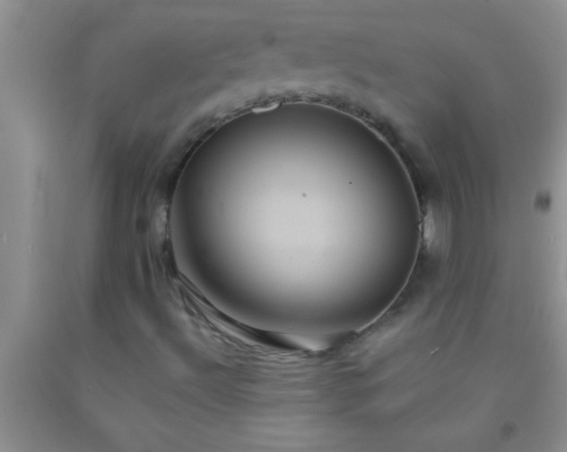 X0000092111492200709191317