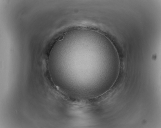 X0000092111493200709191317