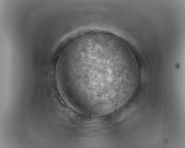 X0000092111494200709191317