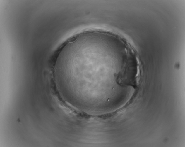 X0000092111496200709191317