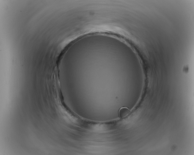 X0000092111497200709191317